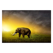 Panorama Alu 60x90cm - Tableau Décoration Murale - Accroche Facile - Photo Image Artistique Photographie