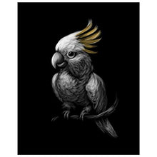 Panorama Alu 80x80cm - Tableau Décoration Murale - Accroche Facile - Photo Image Artistique Photographie