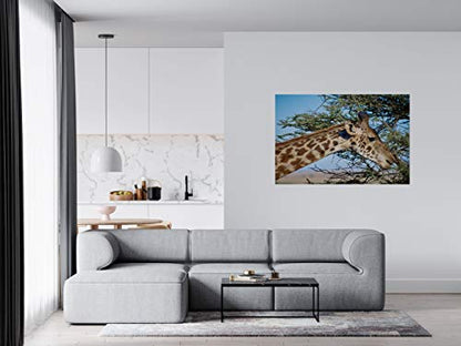 Panorama Alu 60x40cm - Tableau Décoration Murale - Accroche Facile - Photo Image Artistique Photographie