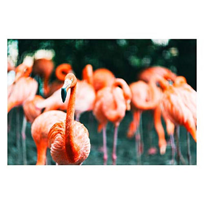 Panorama Alu 60x90cm - Tableau Décoration Murale - Accroche Facile - Photo Image Artistique Photographie