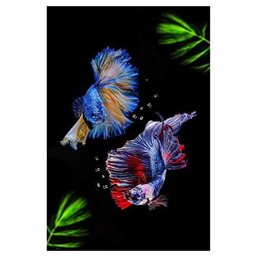 Panorama Alu 40x40cm - Tableau Décoration Murale - Accroche Facile - Photo Image Artistique Photographie