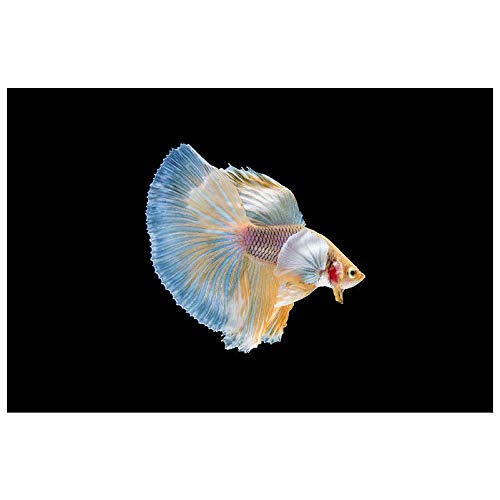 Panorama Alu 60x40cm - Tableau Décoration Murale - Accroche Facile - Photo Image Artistique Photographie