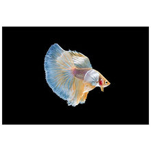 Panorama Alu 60x40cm - Tableau Décoration Murale - Accroche Facile - Photo Image Artistique Photographie