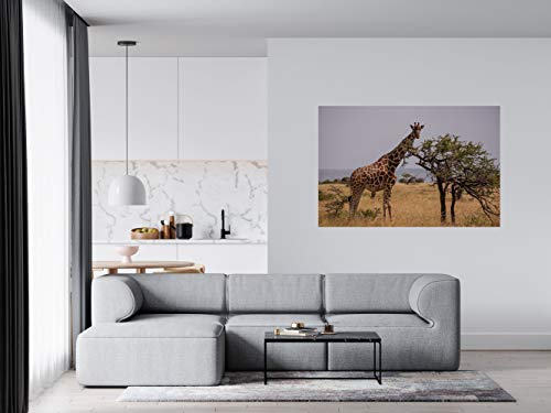 Panorama Alu 60x90cm - Tableau Décoration Murale - Accroche Facile - Photo Image Artistique Photographie