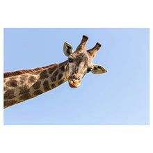 Panorama Alu 60x40cm - Tableau Décoration Murale - Accroche Facile - Photo Image Artistique Photographie