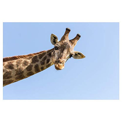 Panorama Alu 60x40cm - Tableau Décoration Murale - Accroche Facile - Photo Image Artistique Photographie