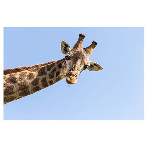 Panorama Alu 60x40cm - Tableau Décoration Murale - Accroche Facile - Photo Image Artistique Photographie