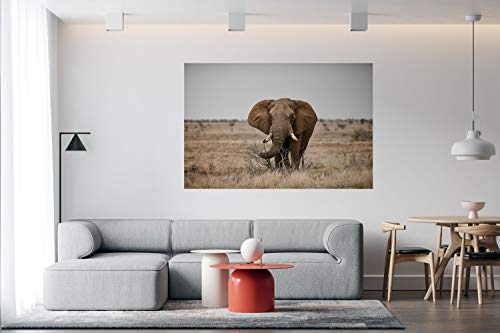 Panorama Alu 60x40cm - Tableau Décoration Murale - Accroche Facile - Photo Image Artistique Photographie