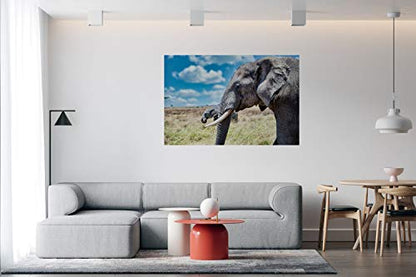 Panorama Alu 60x90cm - Tableau Décoration Murale - Accroche Facile - Photo Image Artistique Photographie