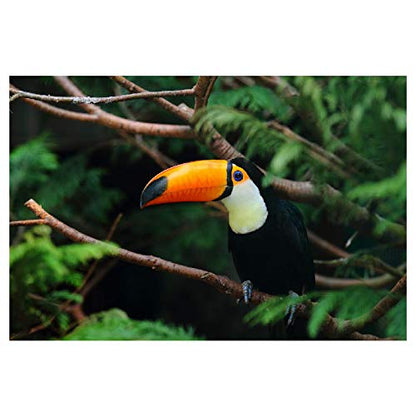 Panorama Alu 60x40cm - Tableau Décoration Murale - Accroche Facile - Photo Image Artistique Photographie