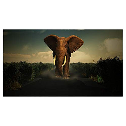 Panorama Alu 60x40cm - Tableau Décoration Murale - Accroche Facile - Photo Image Artistique Photographie