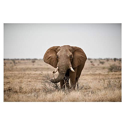 Panorama Alu 60x40cm - Tableau Décoration Murale - Accroche Facile - Photo Image Artistique Photographie