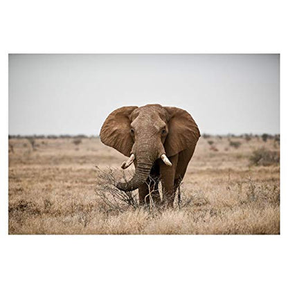 Panorama Alu 60x40cm - Tableau Décoration Murale - Accroche Facile - Photo Image Artistique Photographie