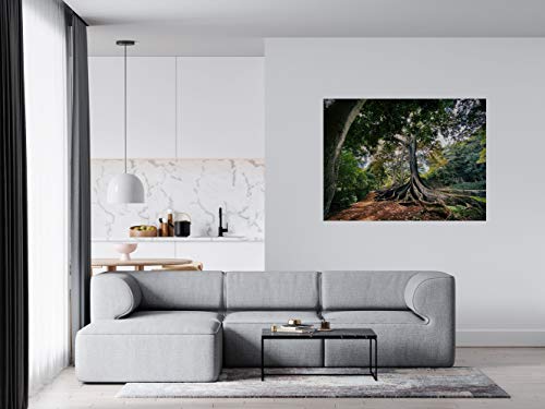 Panorama Alu 60x90cm - Tableau Décoration Murale - Accroche Facile - Photo Image Artistique Photographie