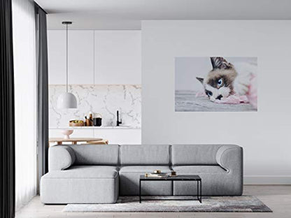 Panorama Alu 60x40cm - Tableau Décoration Murale - Accroche Facile - Photo Image Artistique Photographie