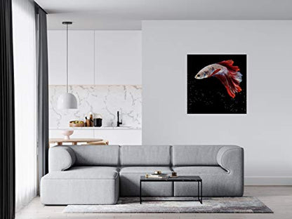 Panorama Alu 40x40cm - Tableau Décoration Murale - Accroche Facile - Photo Image Artistique Photographie