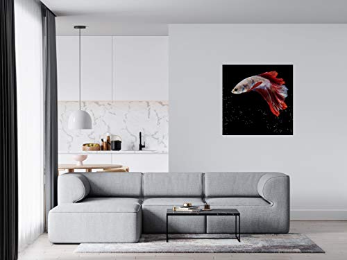 Panorama Alu 80x80cm - Tableau Décoration Murale - Accroche Facile - Photo Image Artistique Photographie