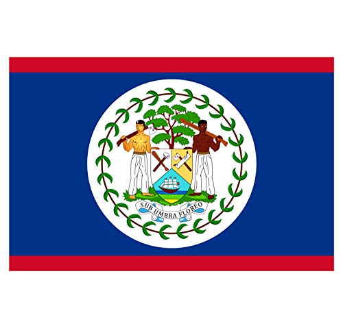 Panneau Rigide Format 18x12cm Drapeau de Pays Nation bélize épaisseur 3mm