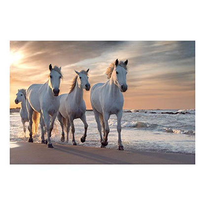 Panorama Alu 60x40cm - Tableau Décoration Murale - Accroche Facile - Photo Image Artistique Photographie