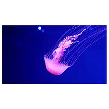 Panorama Alu 60x90cm - Tableau Décoration Murale - Accroche Facile - Photo Image Artistique Photographie