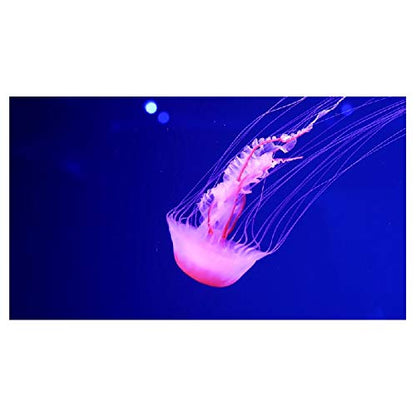 Panorama Alu 60x90cm - Tableau Décoration Murale - Accroche Facile - Photo Image Artistique Photographie