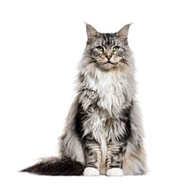 Panorama Alu 80x80cm - Tableau Décoration Murale - Accroche Facile - Photo Image Artistique Photographie