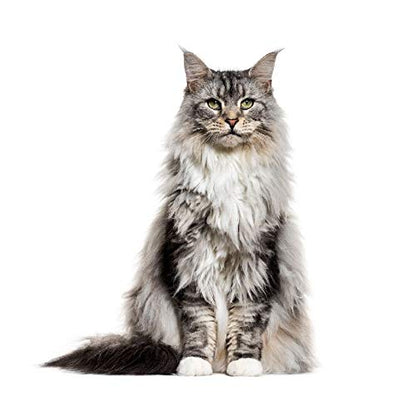 Panorama Alu 60x60cm - Tableau Décoration Murale - Accroche Facile - Photo Image Artistique Photographie