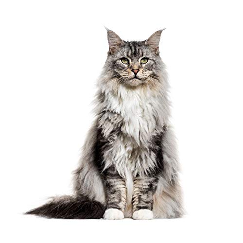 Panorama Alu 60x60cm - Tableau Décoration Murale - Accroche Facile - Photo Image Artistique Photographie