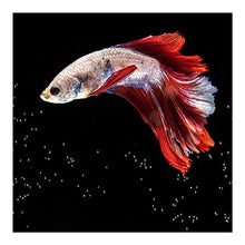 Panorama Alu 40x40cm - Tableau Décoration Murale - Accroche Facile - Photo Image Artistique Photographie