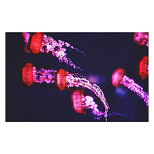 Panorama Alu 60x90cm - Tableau Décoration Murale - Accroche Facile - Photo Image Artistique Photographie