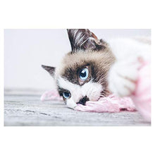 Panorama Alu 60x40cm - Tableau Décoration Murale - Accroche Facile - Photo Image Artistique Photographie