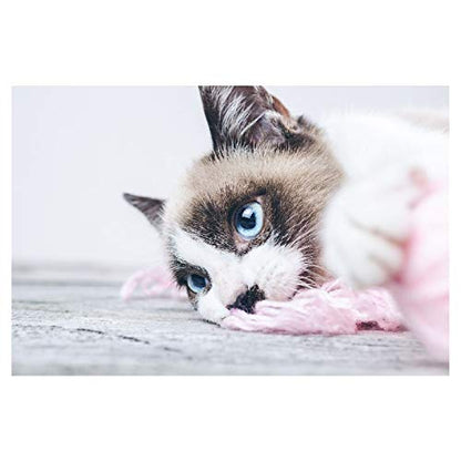 Panorama Alu 60x40cm - Tableau Décoration Murale - Accroche Facile - Photo Image Artistique Photographie