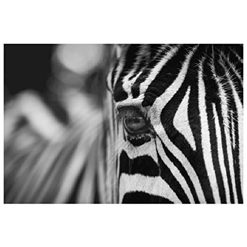 Panorama Alu 60x90cm - Tableau Décoration Murale - Accroche Facile - Photo Image Artistique Photographie