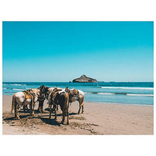 Panorama Alu 60x90cm - Tableau Décoration Murale - Accroche Facile - Photo Image Artistique Photographie