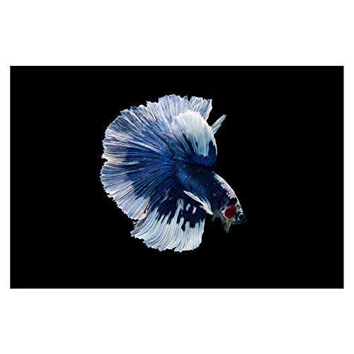 Panorama Alu 60x90cm - Tableau Décoration Murale - Accroche Facile - Photo Image Artistique Photographie