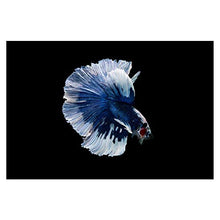 Panorama Alu 60x90cm - Tableau Décoration Murale - Accroche Facile - Photo Image Artistique Photographie