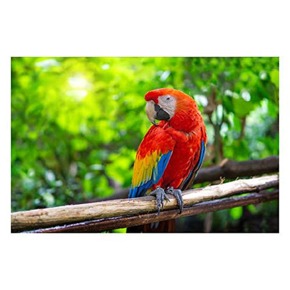 Panorama Alu 60x40cm - Tableau Décoration Murale - Accroche Facile - Photo Image Artistique Photographie