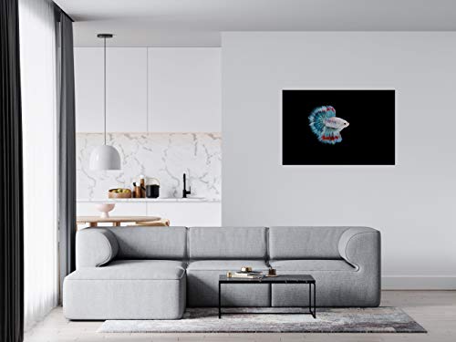 Panorama Alu 60x90cm - Tableau Décoration Murale - Accroche Facile - Photo Image Artistique Photographie