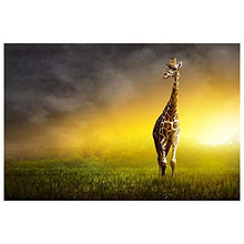 Panorama Alu 60x90cm - Tableau Décoration Murale - Accroche Facile - Photo Image Artistique Photographie