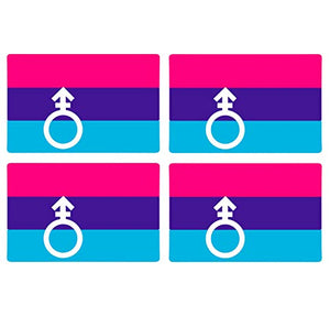 Supstick Drapeau Androgyne Lot de 4 Format 6X4CM