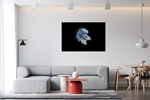 Panorama Alu 60x90cm - Tableau Décoration Murale - Accroche Facile - Photo Image Artistique Photographie