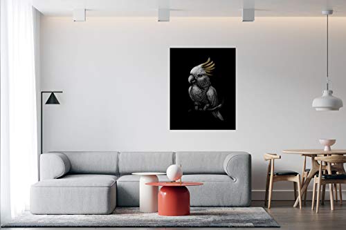 Panorama Alu 40x40cm - Tableau Décoration Murale - Accroche Facile - Photo Image Artistique Photographie