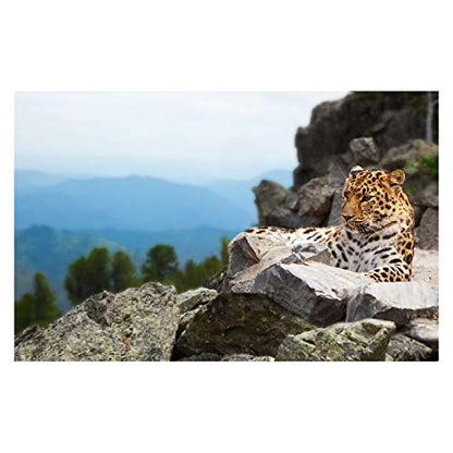 Panorama Alu 60x90cm - Tableau Décoration Murale - Accroche Facile - Photo Image Artistique Photographie