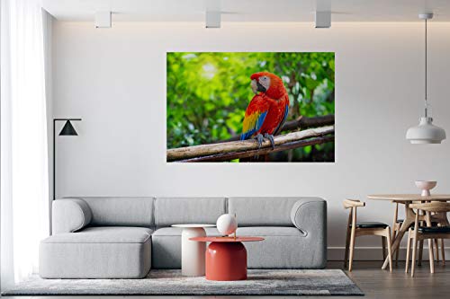 Panorama Alu 60x40cm - Tableau Décoration Murale - Accroche Facile - Photo Image Artistique Photographie