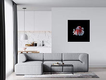 Panorama Alu 60x60cm - Tableau Décoration Murale - Accroche Facile - Photo Image Artistique Photographie