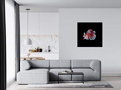 Panorama Alu 60x60cm - Tableau Décoration Murale - Accroche Facile - Photo Image Artistique Photographie