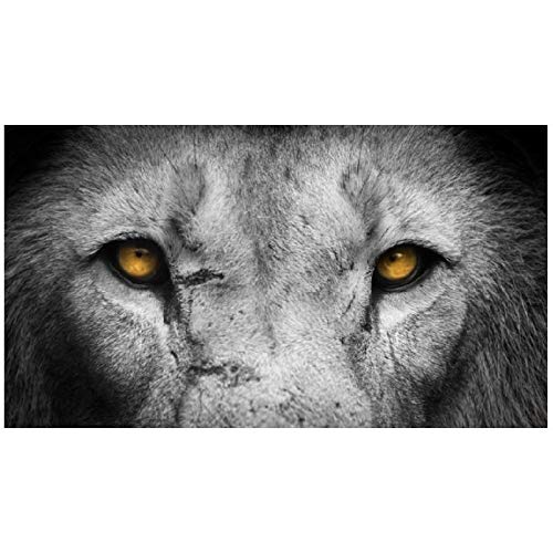 Panorama Alu 60x40cm - Tableau Décoration Murale - Accroche Facile - Photo Image Artistique Photographie