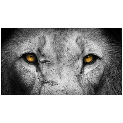 Panorama Alu 60x40cm - Tableau Décoration Murale - Accroche Facile - Photo Image Artistique Photographie