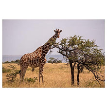 Panorama Alu 60x90cm - Tableau Décoration Murale - Accroche Facile - Photo Image Artistique Photographie