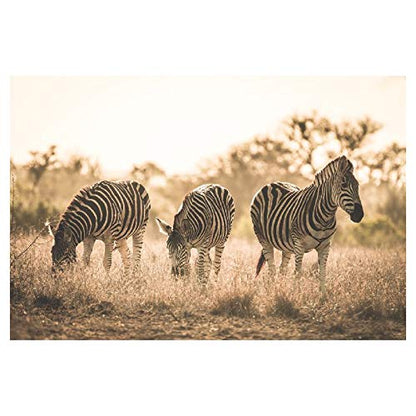 Panorama Alu 60x40cm - Tableau Décoration Murale - Accroche Facile - Photo Image Artistique Photographie